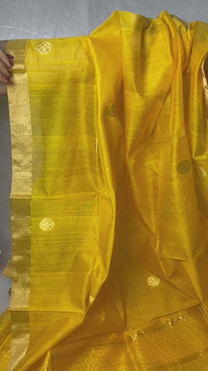 Mango Pure Chanderi Silk Dupatta with Golden Zari Work