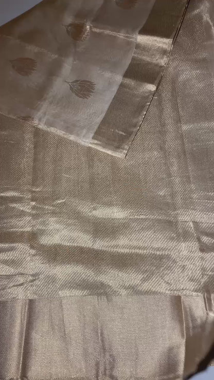 Golden Pure chanderi tissue silk saree with golden zari work